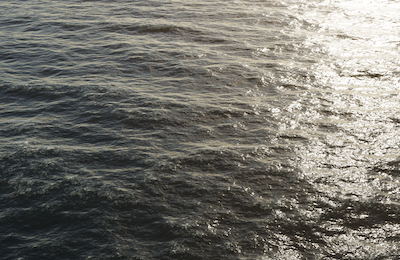 Ocean Sim